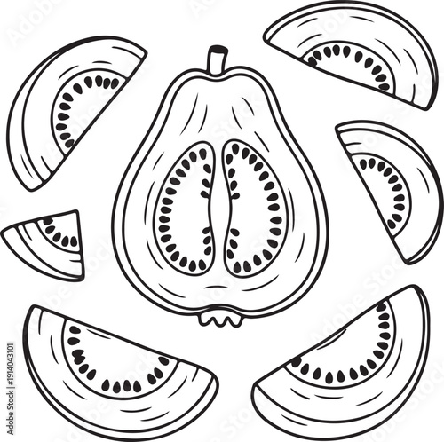 Delicious hand drawn tropical guava fruit illustration featuring one half cut lengthwise surrounded by several refreshing slices perfect for coloring book pages or healthy eating designs