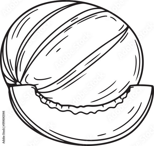 Freshly cut cantaloupe slice with edible seeds on a white background