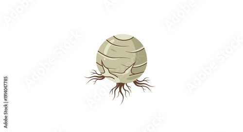 Round celeriac root with a textured surface and small roots extends from its base.