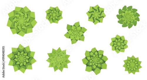 A collection of stylized green fractal shapes resembling succulents or romanesco are viewed from above on a white background.