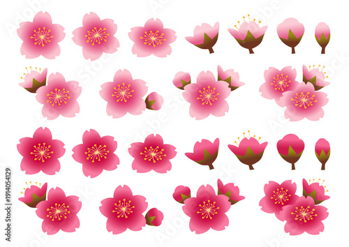 桜の花の花弁や蕾のセット
