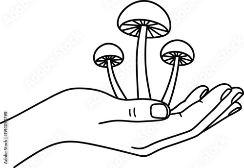 Hand holding three magic mushrooms, psychedelic medicine and nature connection concept. Minimalist outline illustration for wellness design