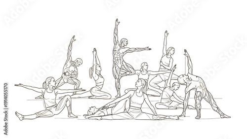 human anatomy and diverse individuals in elegant yoga and dance poses illustrating muscle structure flexibility and physical wellness