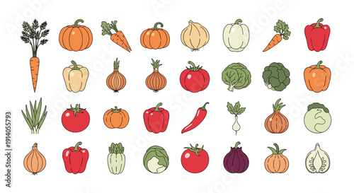 A large colorful set of various hand-drawn fresh vegetables including carrots tomatoes and pumpkins on a white background.