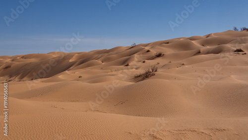 Large sand dunes surrounding a valley in the Sahara Desert, outside of Douz, Tunisia
