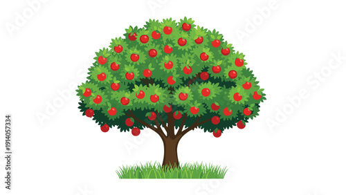 Symmetrical green leafy tree heavily laden with ripe red apples growing on a patch of grass over a white background.