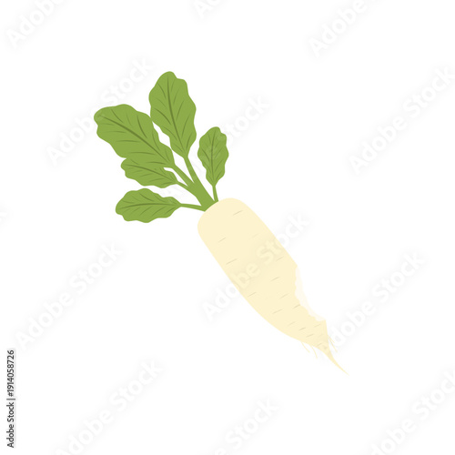 Illustration of a white daikon radish. A bitten daikon radish. Flat design of a daikon radish. Illustration of healthy vegetables. Healthy food. A daikon radish with green leaves
