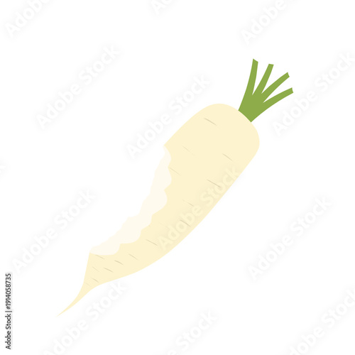 Illustration of a white daikon radish. A bitten daikon radish. Flat design of a daikon radish. Illustration of healthy vegetables. Healthy food. A daikon radish with green leaves
