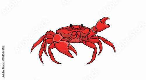 Red crustacean with articulated legs and prominent pincers, facing right