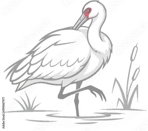 Elegant white crane with red eye, standing on one leg in water with reeds