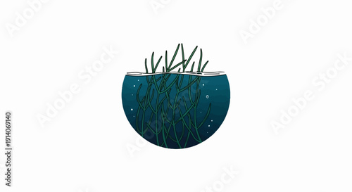 Underwater kelp forest with green fronds reaching towards the surface