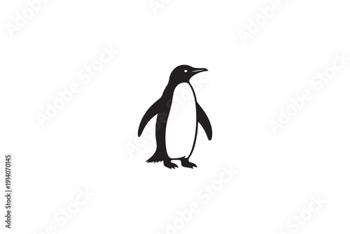 Penguin illustration, cute bird standing, wildlife animal, black and white graphic, cartoon style, simple design, adorable creature, arctic or antarctic representation