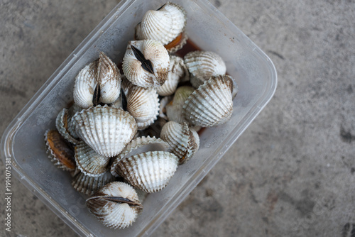 Photos Delicious big boiled or steamed cockles in plastic box