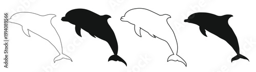 dolphin silhouette dynamic pose