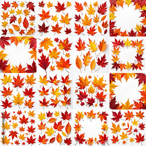 Wallpaper Mural Collection of red and yellow leaves arranged on a white surface. Torontodigital.ca