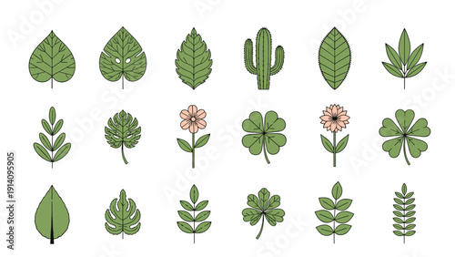 Variety of green leaves, flowers, and a cactus are neatly arranged in rows in a minimalist botanical illustration on a white background.