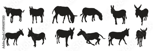 donkey silhouette vector illustration set