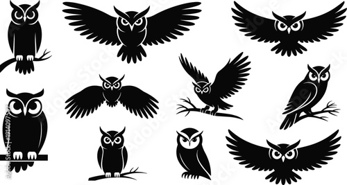 Stylized black owl illustrations in various poses, perched and flying, artistic silhouettes with detailed feathers, expressive eyes, mysterious design