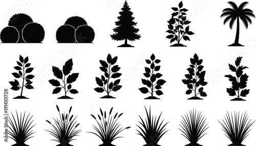 Plant silhouette illustration set, multiple black icons bushes conifer palm leafy grass seed head nature design, vector artwork, botanical and landscape theme, isolated background