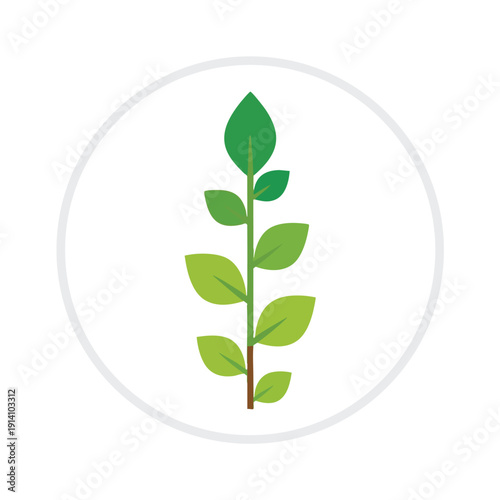 Fresh Green Plant with Healthy Leaves for Eco Friendly and Nature Themed Designs