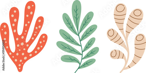 Abstract hand drawn coral and seaweed elements colorful marine botanical shapes flat vector illustration set