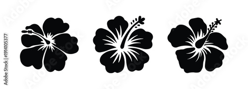 Hibiscus Flower Silhouette Black Icon Set