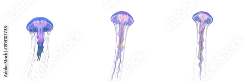 Set of Glowing Bioluminescent Jellyfish with Long Tentacles Floating in Deep Blue Water Isolated on White Background