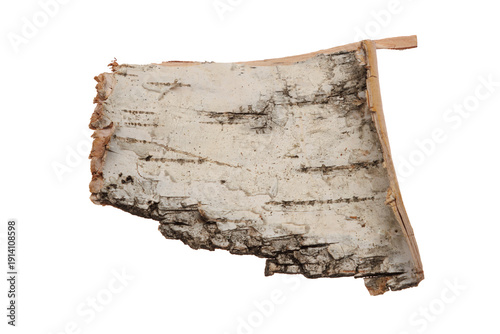 A piece of birch bark isolated on a transparent background