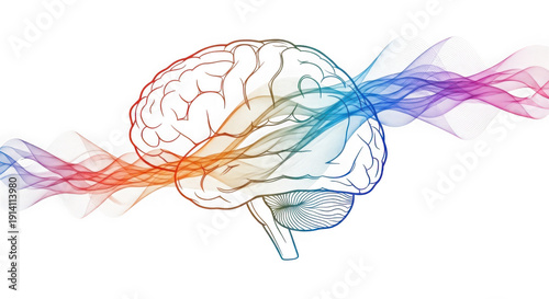 Human brain with colorful neural connections and rainbow waves flowing through it transparent background
