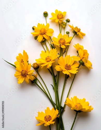 Bouquet of yellow flowers