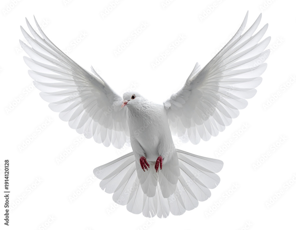 Obraz premium Untitled design - 4