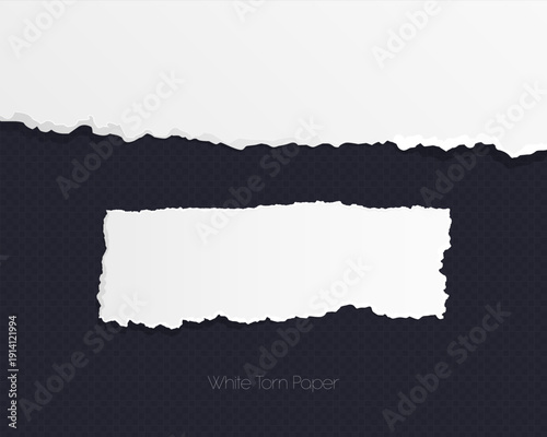 Realistic Torn White Paper Texture with Ripped Edges on Transparent Background