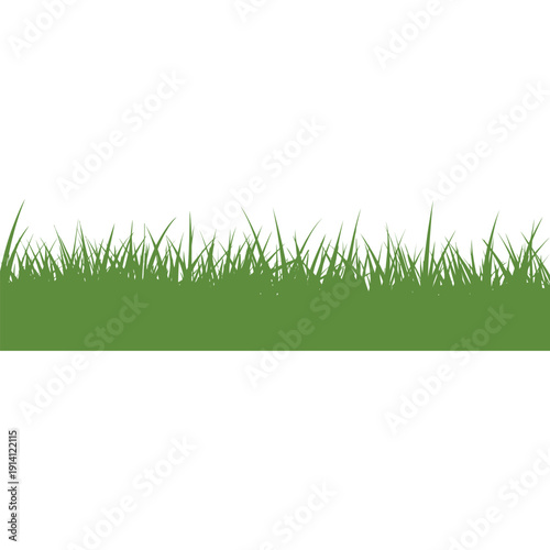 green grass isolated on white background