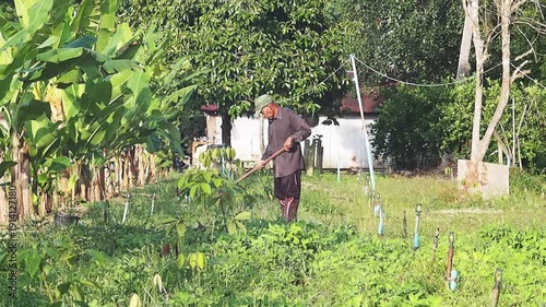 Calm gardener man in backyard garden field using hoe as farmer clearing weed from rural green agriculture farm field feeling peaceful and focused