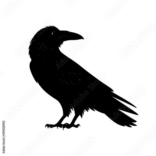 Black crow silhouette standing alone with sharp beak and claws