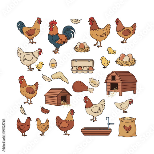 Collection of various chicken and farm related items.