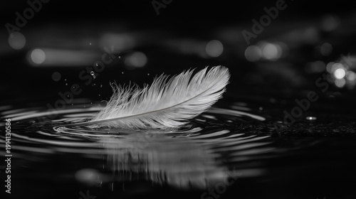 Floating Feather: A pristine white feather delicately rests upon rippling water, evoking a sense of serenity and the grace of nature.