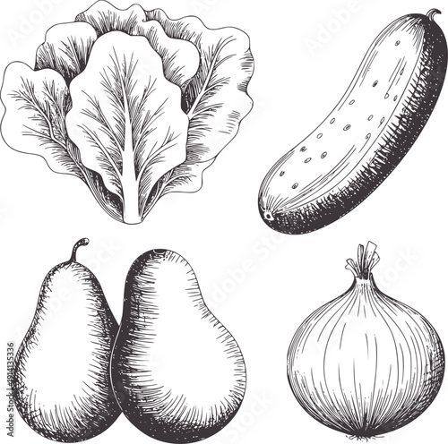 Black and white of lettuce cucumber pears and onion fruit