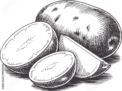 Pen and ink of whole and sliced potatoes food vegetable