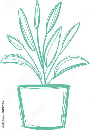 Teal of a potted plant with long leaves green