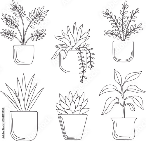 Six potted plants in minimalist line style green