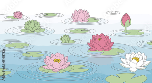 Peaceful pond scene depicts many pink white and green lotus flowers with lily pads floating on gentle ripples in the water.