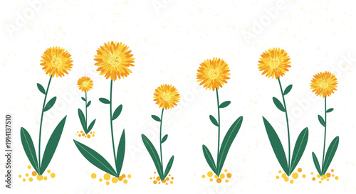 Row of vibrant orange and yellow marigold flowers stands tall with green leaves against a minimalist textured background.