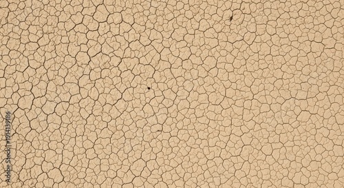 Dry cracked earth texture background with natural light close-up for design and nature projects