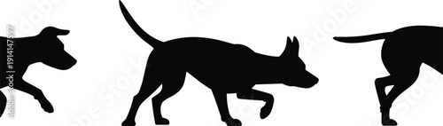 Black silhouette collection of active dogs walking and sniffing for pet training animal behavior veterinary services and domestic canine companionship concepts on white.