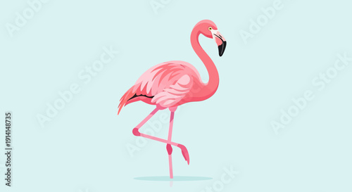 Elegant pink flamingo standing on one leg in water with reflection.