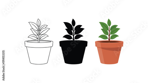 Flower plant vector illustrations in different styles and colors