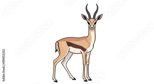 Illustration of a graceful gazelle standing and looking forward.