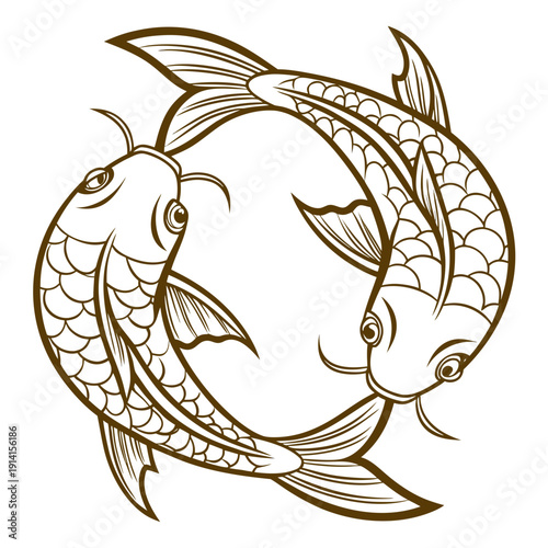 Gold koi fish swimming in circle 1