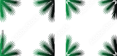 Palm tree leaves in green and dark green arranged in a square frame on white background for design and decoration purposes